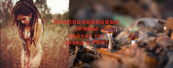 марихуана Бородино