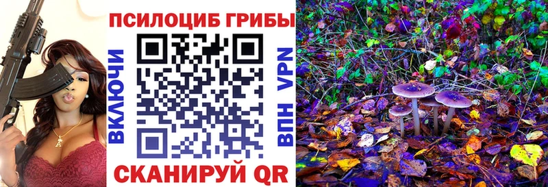 KRAKEN как войти  Приволжский  Псилоцибиновые грибы Cubensis 
